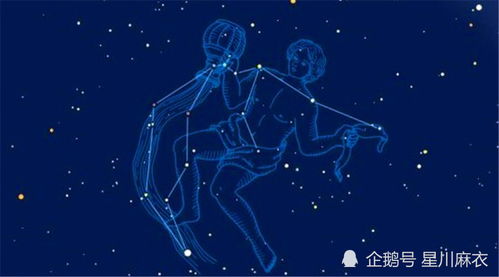 8月16日是什么星座